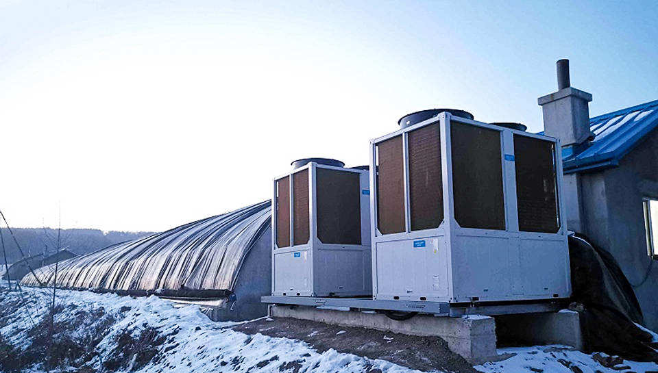 吉林長春偉峰農(nóng)場櫻桃大棚供暖