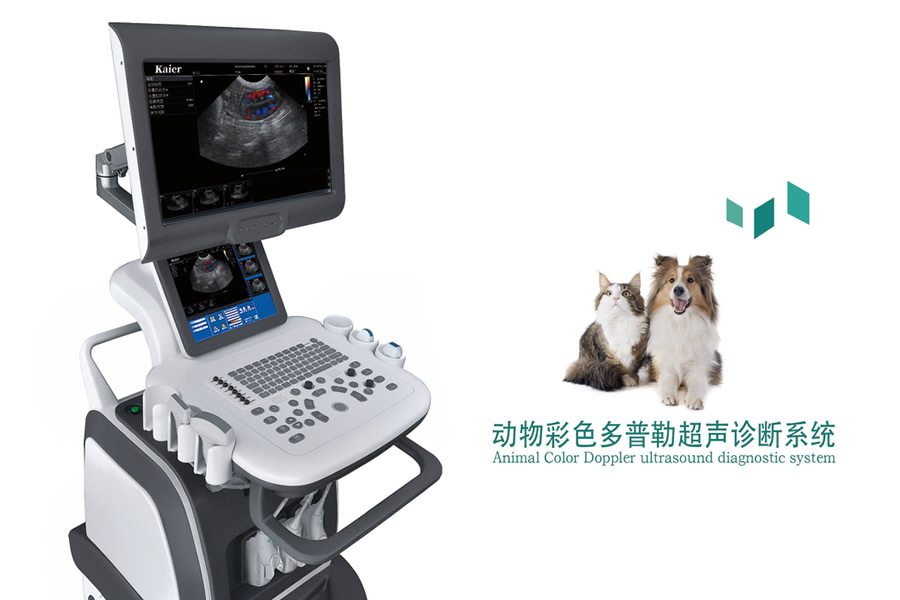 教您怎樣使用獸用B超機？